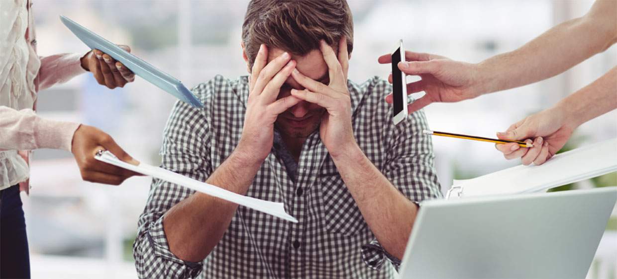 Top 5 wholesale bugbears img