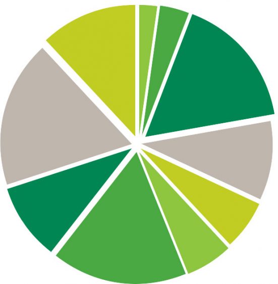 Pie Chart