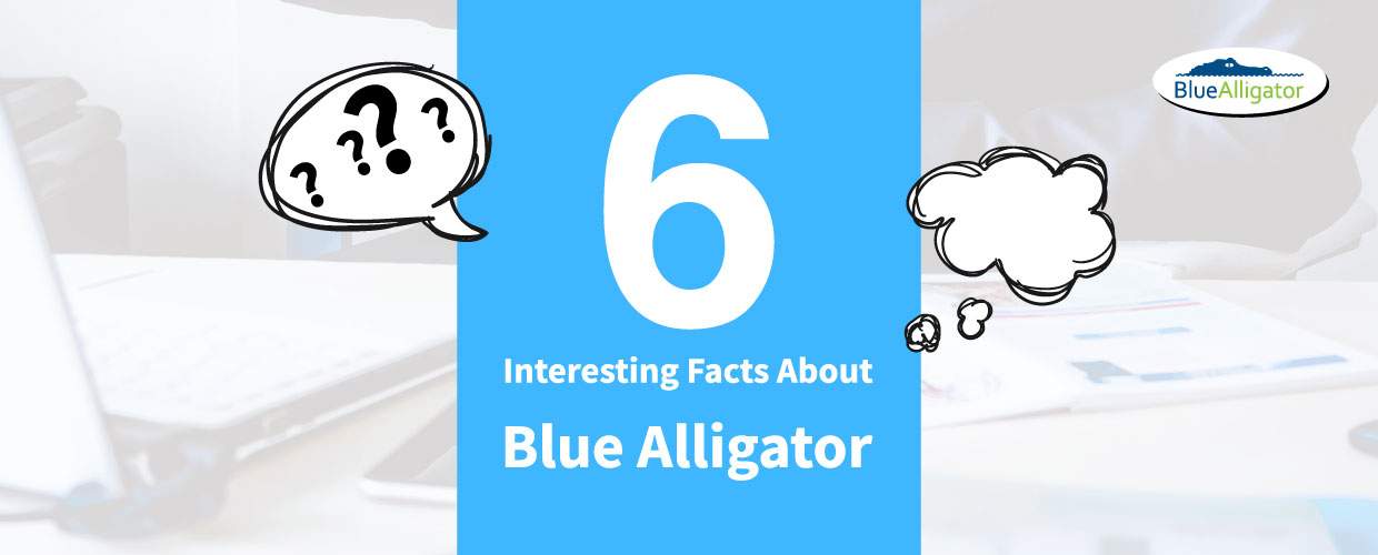 6 interesting facts about Blue Alligator