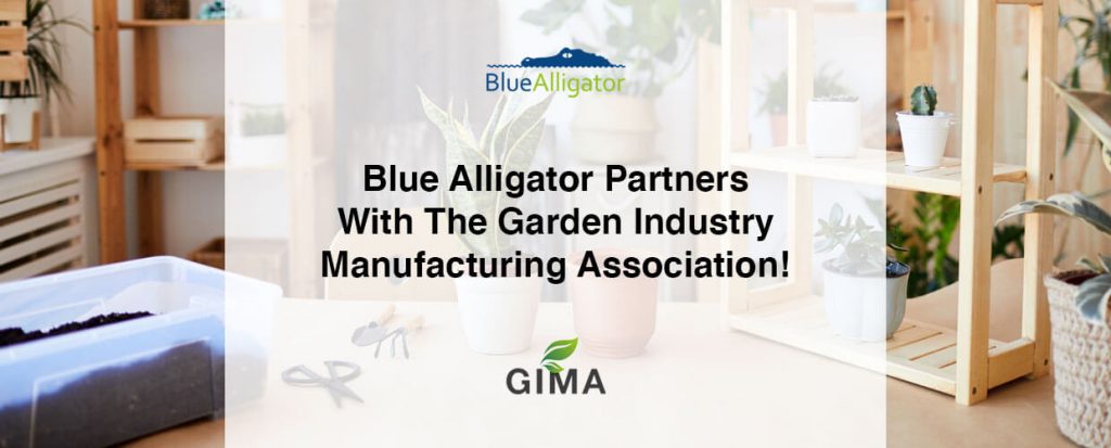 Blue Alligator partner with GIMA