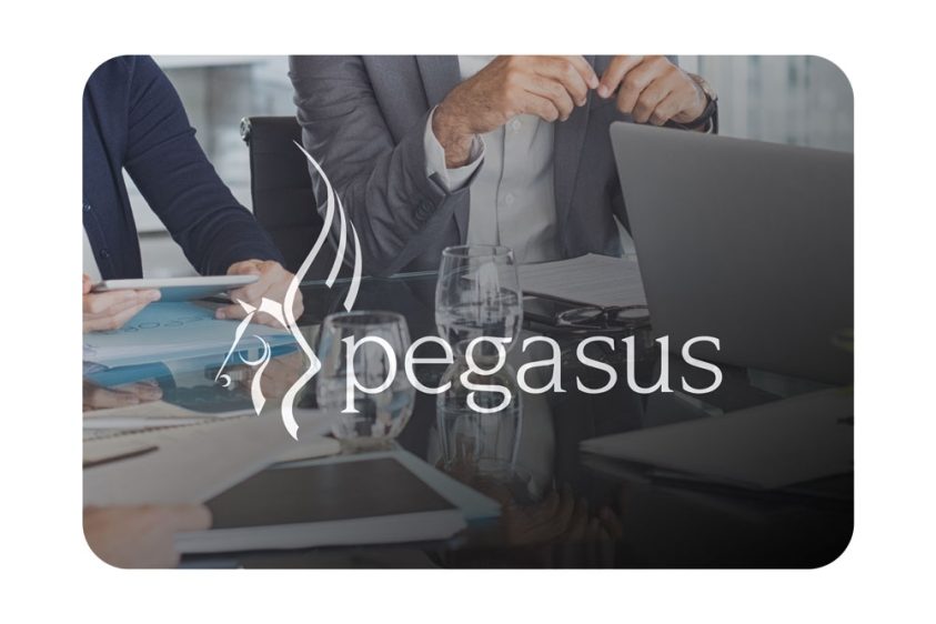 Pegasus ERP integration