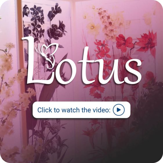 Lotus Imports increased profits with SalesPresenter