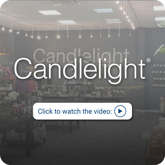 Candlelight picture | Blue Alligator