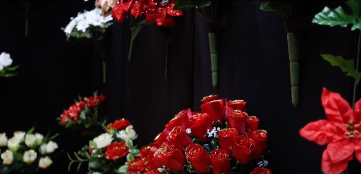 Jeno Floral chooses Blue Alligators B2B sales app solution