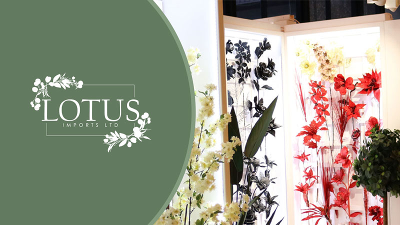 Lotus Imports