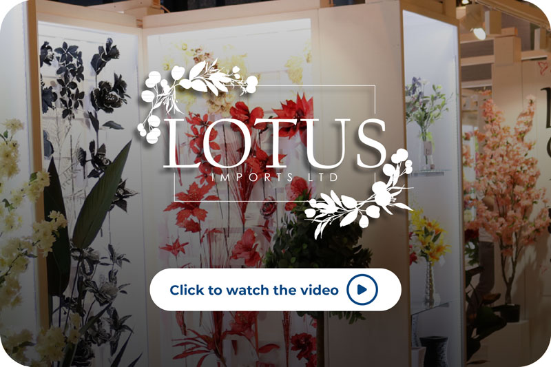 Lotus Imports